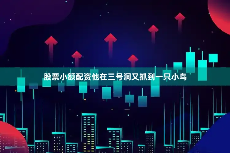 股票小额配资他在三号洞又抓到一只小鸟